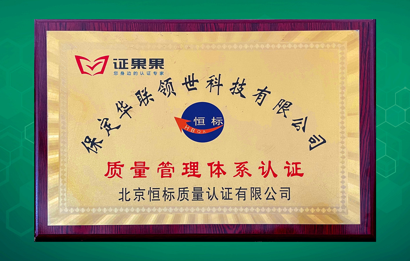 華聯領世取得恒標質量管理體系認證！