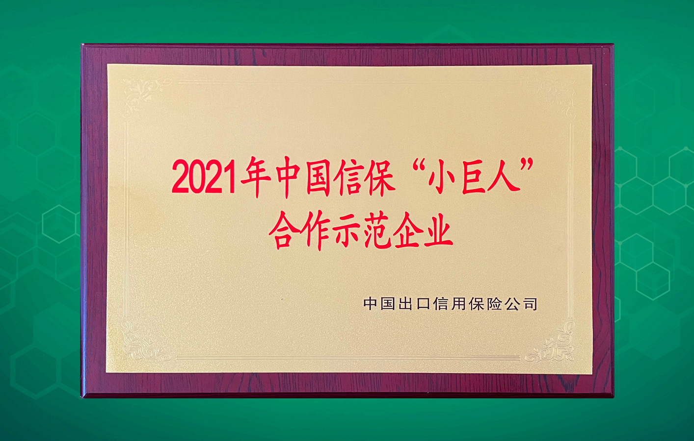 楊帆遠航走向世界！華聯領世榮獲中國信保“小巨人”合作示范企業！